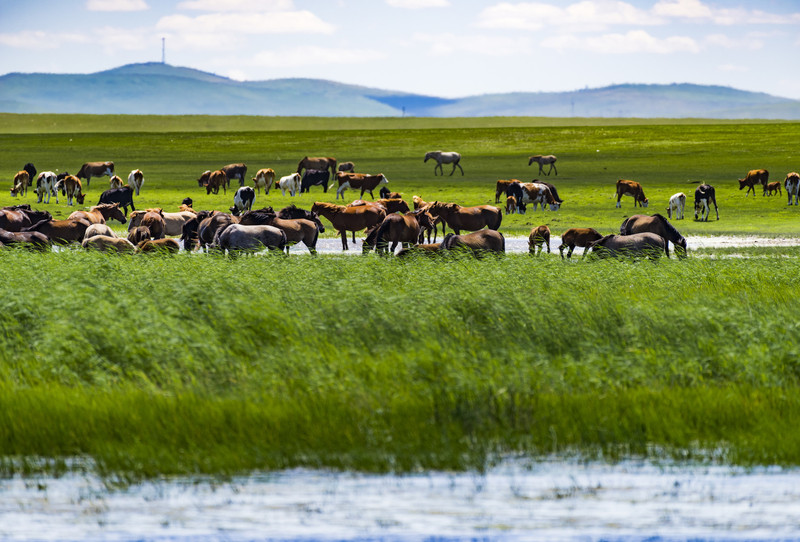 内蒙古自然美景探索之旅，追寻内心的平和与宁静